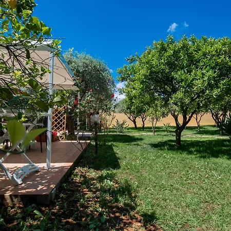 Del Papiro Charme Apartment